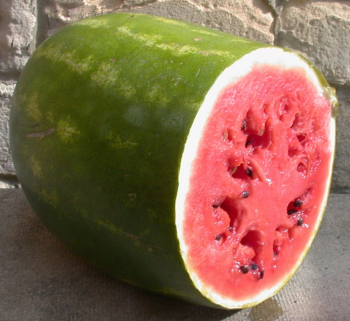 Watermelon Surprise