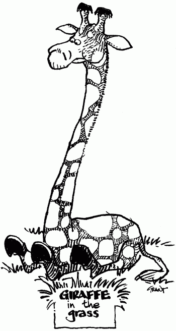 Giraffe in the Grass
